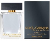 Dolce&Gabbana The One Gentleman 