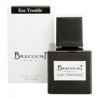 Brecourt  Eau Trouble