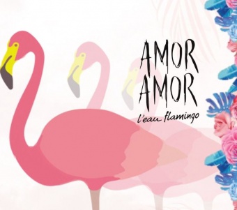 Cacharel  Amor Amor L'Eau Flamingo
