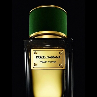 Dolce & Gabbana Velvet Vetiver